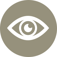 int-speak-icon-eye.png